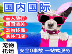 白山空运代理国际宠物托运 【国